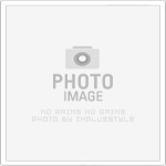 好贏娛樂城超強技巧大公開：六合彩拖牌秘訣與骰寶遊戲完整教學！