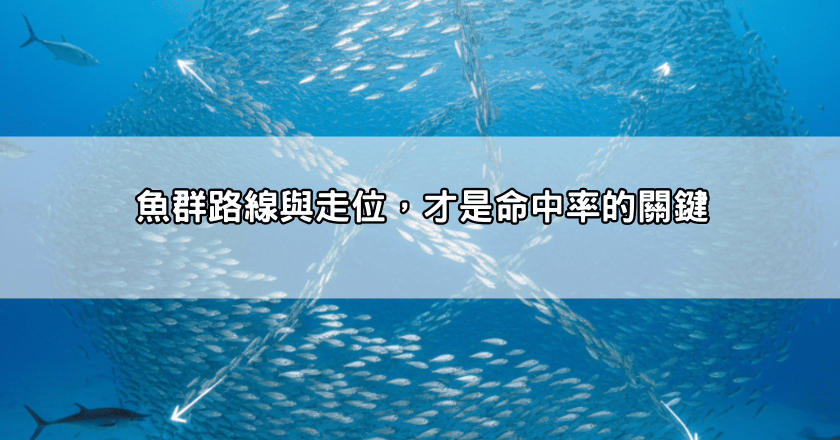 魚群路線與走位，才是命中率的關鍵